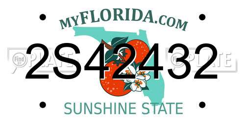 2S42432 Florida License Plate