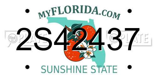 2S42437 Florida License Plate