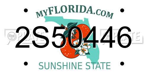 2S50446 Florida License Plate