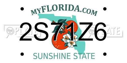 2S71Z6 Florida License Plate