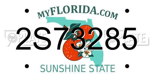 2S73285 Florida License Plate