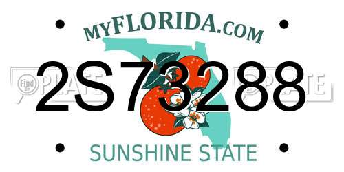 2S73288 Florida License Plate