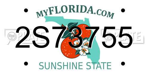 2S73755 Florida License Plate