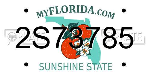 2S73785 Florida License Plate