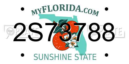 2S73788 Florida License Plate