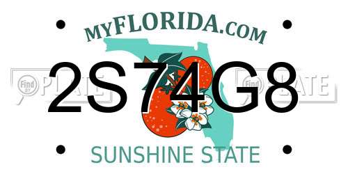 2S74G8 Florida License Plate