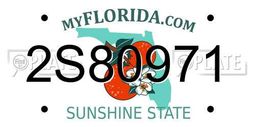 2S80971 Florida License Plate