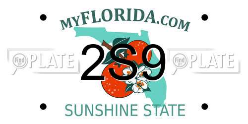 2S9 Florida License Plate