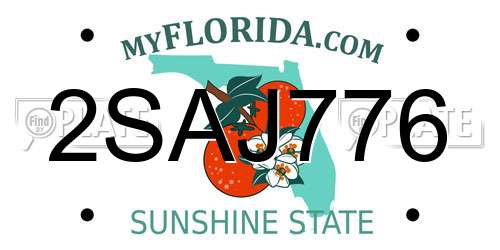 2SAJ776 Florida License Plate