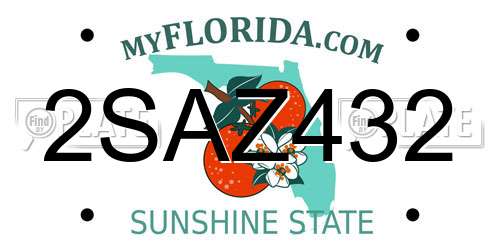 2SAZ432 Florida License Plate