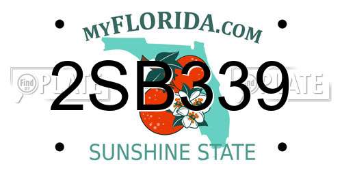 2SB339 Florida License Plate