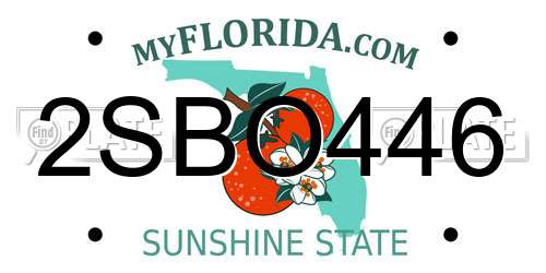 2SBO446 Florida License Plate
