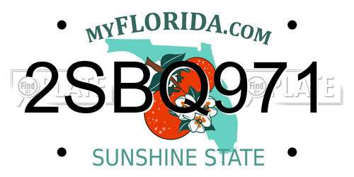 2SBQ971 Florida License Plate