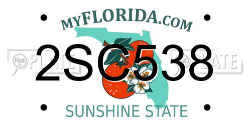 2SC538 Florida License Plate