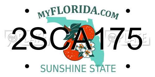 2SCA175 Florida License Plate