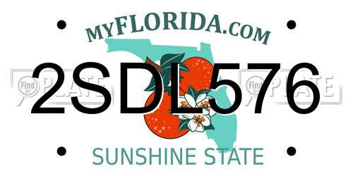2SDL576 Florida License Plate