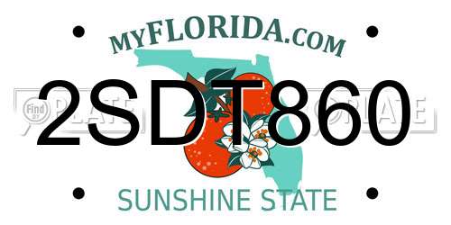 2SDT860 Florida License Plate