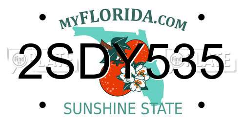 2SDY535 Florida License Plate
