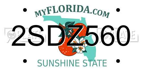 2SDZ560 Florida License Plate