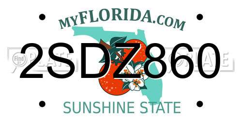 2SDZ860 Florida License Plate