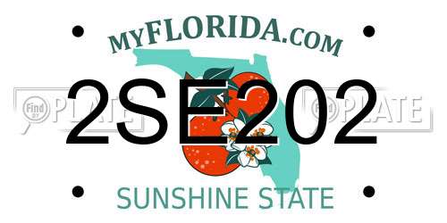 2SE202 Florida License Plate