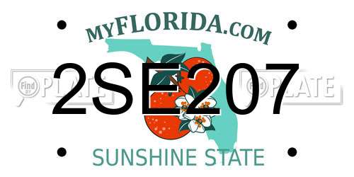 2SE207 Florida License Plate