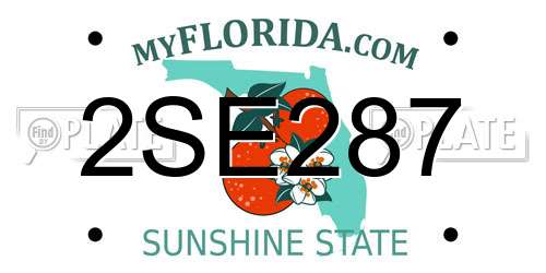 2SE287 Florida License Plate