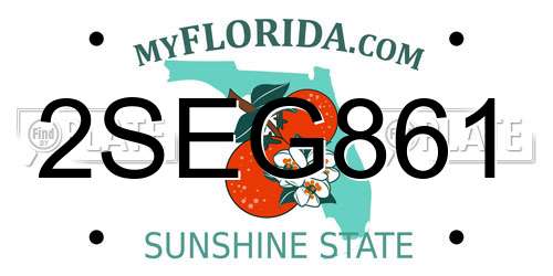 2SEG861 Florida License Plate