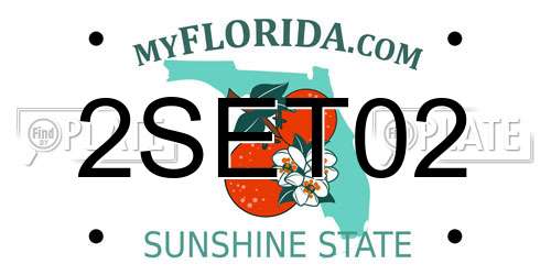 2SET02 Florida License Plate