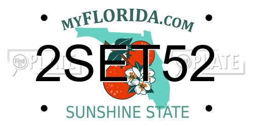 2SET52 Florida License Plate