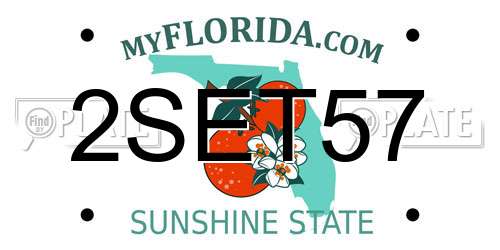 2SET57 Florida License Plate