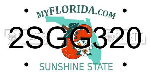 2SGG320 Florida License Plate
