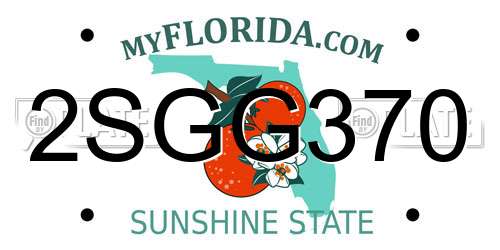 2SGG370 Florida License Plate