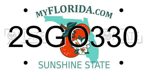 2SGO330 Florida License Plate