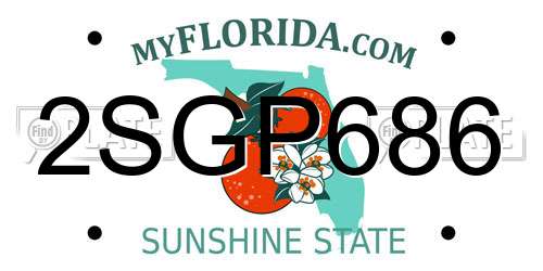 2SGP686 Florida License Plate