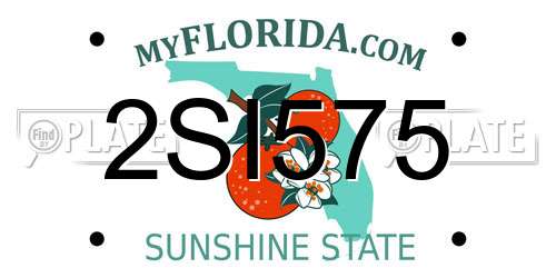 2SI575 Florida License Plate
