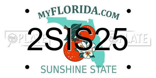 2SIS25 Florida License Plate
