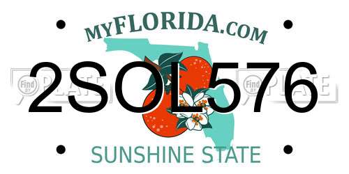 2SOL576 Florida License Plate