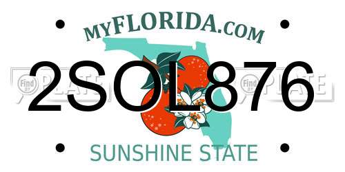 2SOL876 Florida License Plate