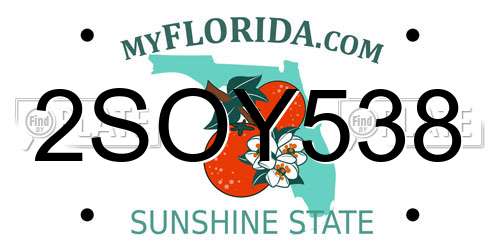 2SOY538 Florida License Plate