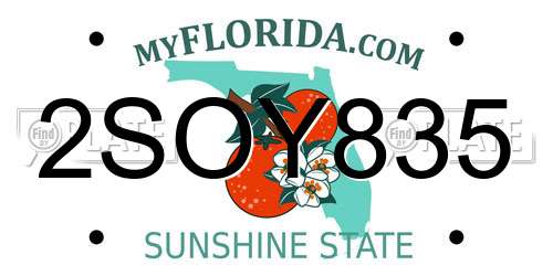 2SOY835 Florida License Plate