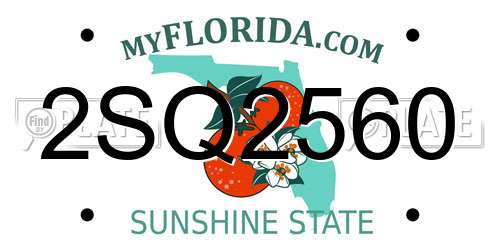 2SQ2560 Florida License Plate