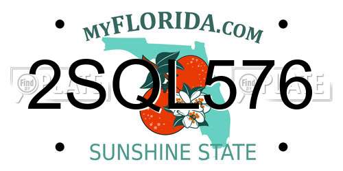 2SQL576 Florida License Plate