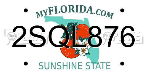2SQL876 Florida License Plate