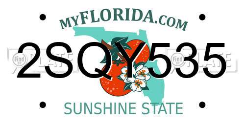 2SQY535 Florida License Plate