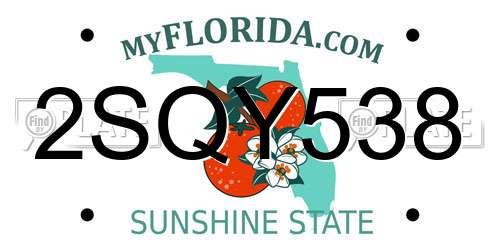 2SQY538 Florida License Plate