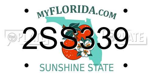 2SS339 Florida License Plate
