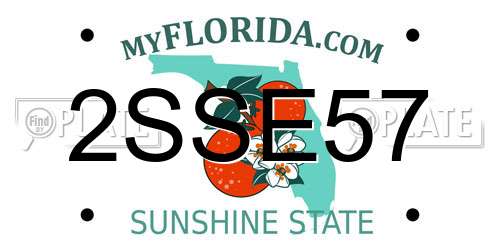 2SSE57 Florida License Plate