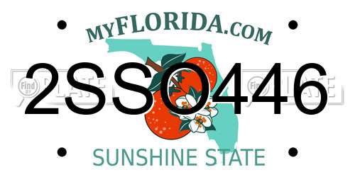2SSO446 Florida License Plate