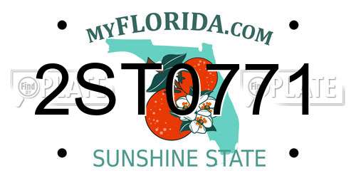 2ST0771 Florida License Plate
